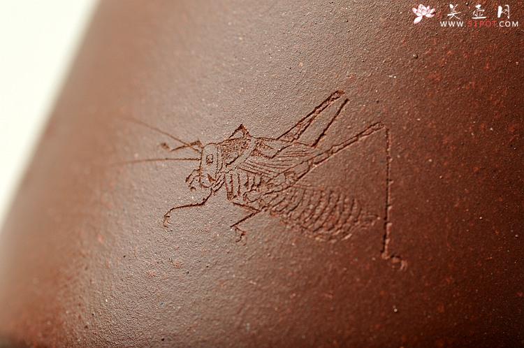 紫砂壶图片：石丁居士杯  油润紫泥  刻绘蟋蟀~ - 美壶网