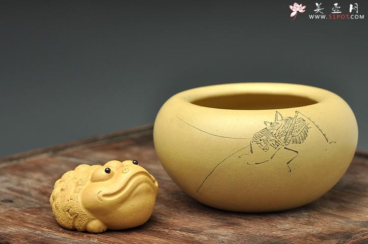 紫砂壶图片：天水牛 知了 蟋蟀 生动形象 文玩杂项 手工精品薄胎一捺底笔洗 - 美壶网