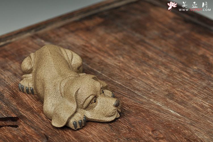 紫砂壶图片：精品版本 拉毛小狗 做工精致 栩栩如生 - 美壶网