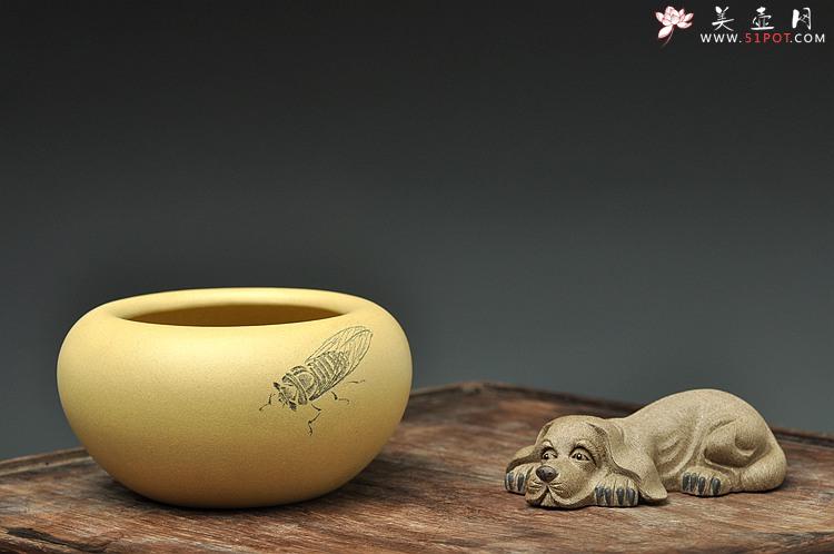 紫砂壶图片：天水牛 知了 蟋蟀 生动形象 文玩杂项 手工精品薄胎一捺底笔洗 - 美壶网