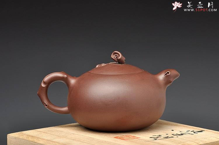 紫砂壶图片：实用花货 泥绘蝴蝶 玉兰相伴 蝶恋花 - 美壶网