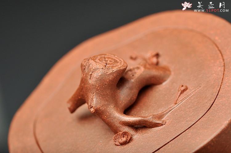 紫砂壶图片：单志萍最新力作 风韵十足 全手道洪梅桩 铁骨柔情 - 美壶网