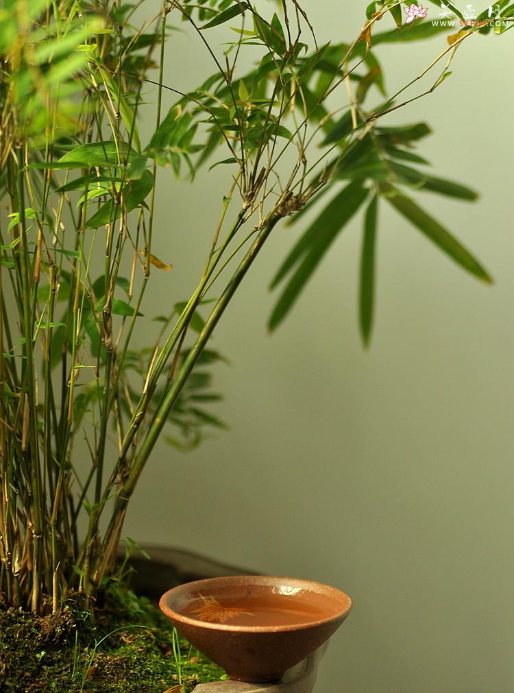 紫砂壶图片：石丁秋韵杯  - 美壶网