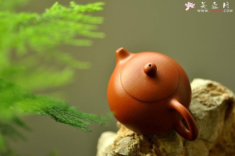 紫砂壶图片：秋冬款o(∩_∩)o 一手迷你壶 优质朱泥 娇小西施 - 美壶网