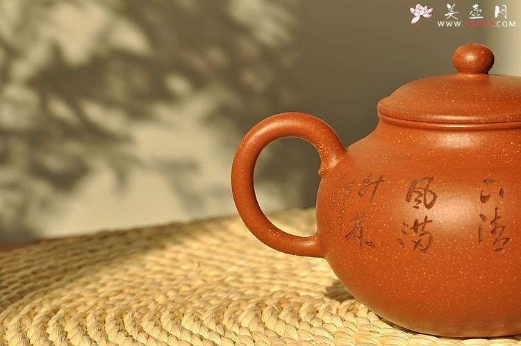 紫砂壶图片：饱满圆润 优质降坡泥 全手灵丰 遥想兰亭下清风满竹林 - 美壶网