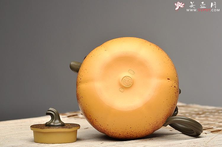 紫砂壶图片：花器实力派  孙伟强张新亚合作 七彩之丰收南瓜 栩栩如生 - 美壶网