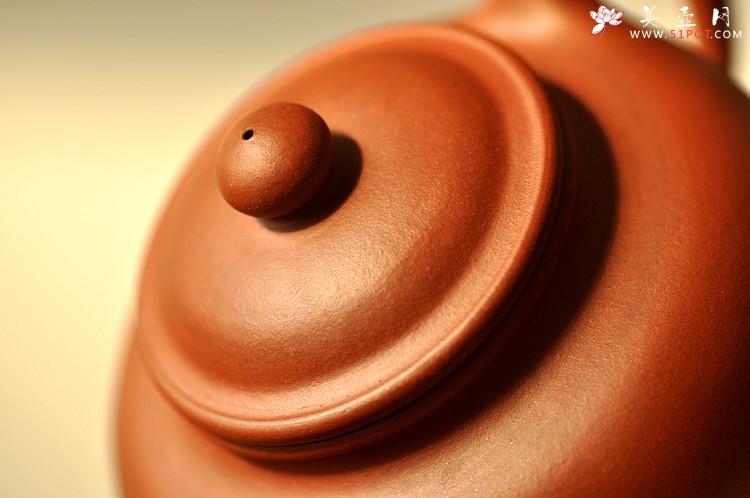 紫砂壶图片:极易泡养红皮龙 全手红莲 清秀婉约 进步明显 - 美壶网