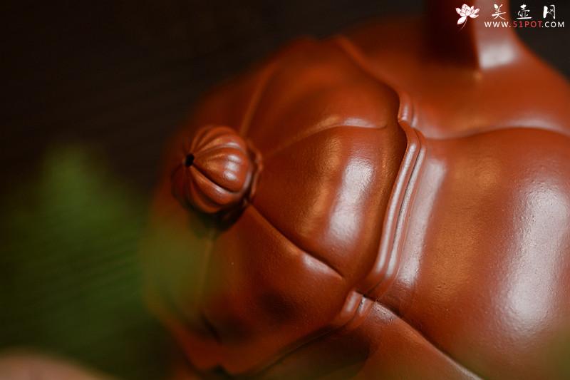 紫砂壶图片：酒虎甲午新作 难度极大  全手工朱泥葵仿古 - 美壶网