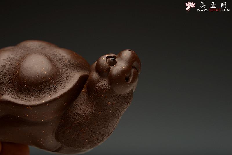 紫砂壶图片：寿龟送灵芝~ 寿上加寿o(∩_∩)o  憨态可掬 做工精致 用料讲究~ - 美壶网