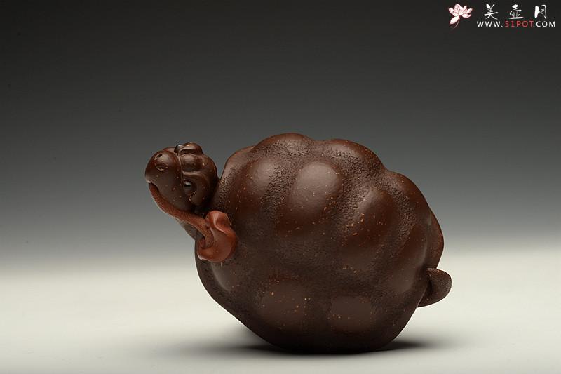 紫砂壶图片：寿龟送灵芝~ 寿上加寿o(∩_∩)o  憨态可掬 做工精致 用料讲究~ - 美壶网