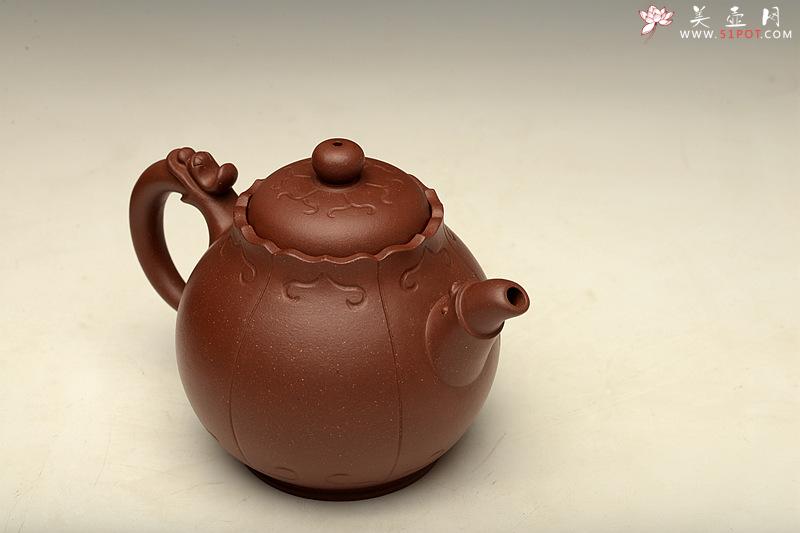 紫砂壶图片：黄龙源底槽青 造型新颖 实用精致 龙珠 - 美壶网