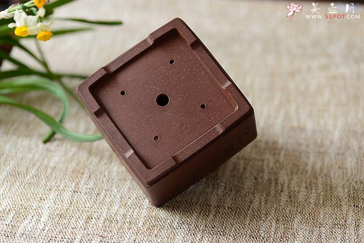 紫砂壶图片：清韵悠长 精工典范 小花盆 文房雅玩 国助和石装饰 - 美壶网