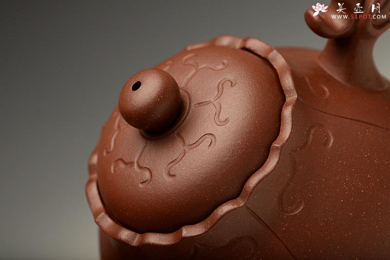 紫砂壶图片：黄龙源底槽青 造型新颖 实用精致 龙珠 - 美壶网