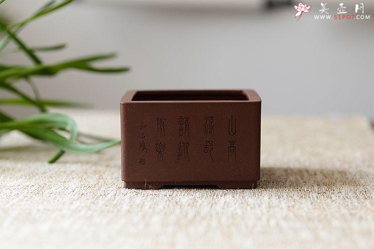 紫砂壶图片：清韵悠长 精工典范 小花盆 文房雅玩 国助和石装饰 - 美壶网