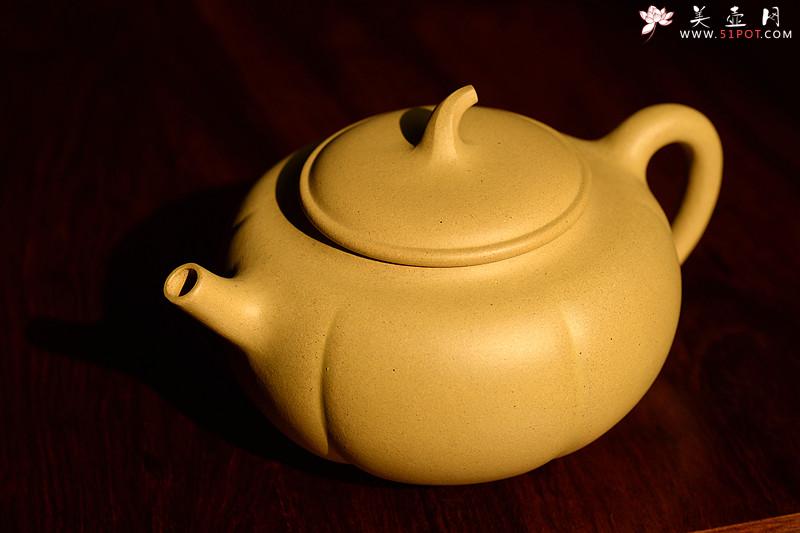 紫砂壶图片：潘小东 全手筋囊新品 金瓜  - 美壶网