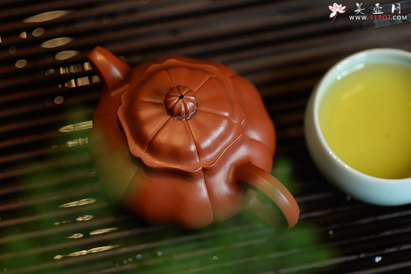 紫砂壶图片：酒虎甲午新作 难度极大  全手工朱泥葵仿古 - 美壶网