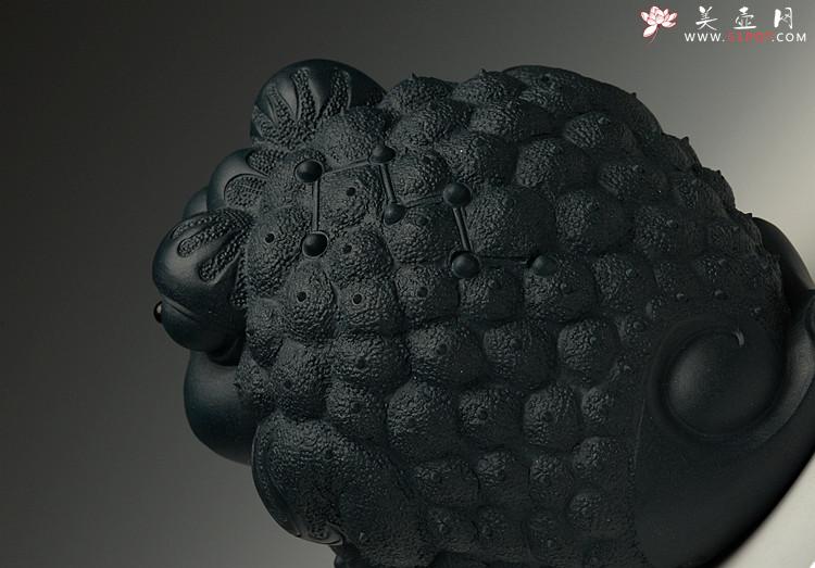 紫砂壶图片： 金蟾 栩栩如生  和气生财 - 美壶网