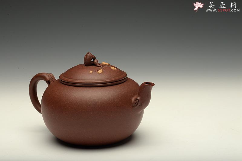 紫砂壶图片：潘丹初最新全手作品 精品小花货 迎春 秀雅小巧 - 美壶网