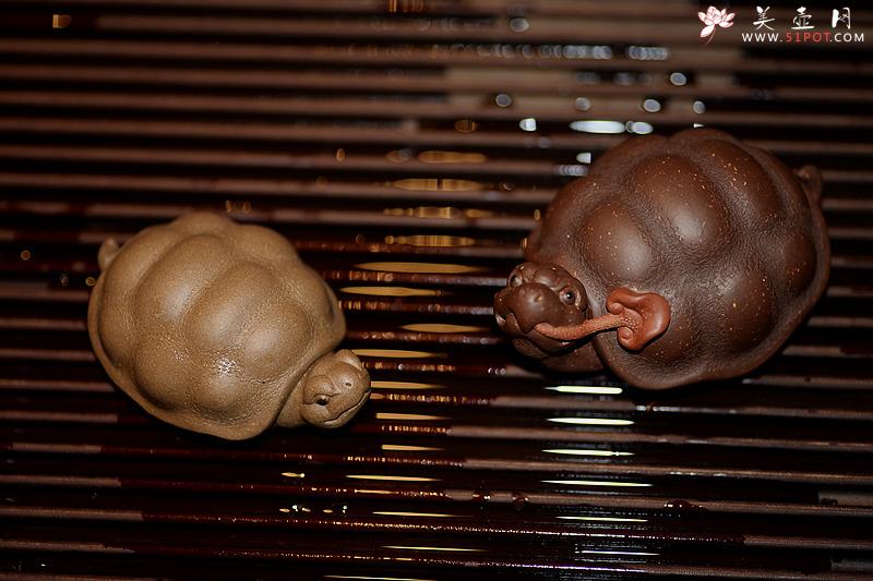 紫砂壶图片：龟虽寿之小龟o(∩_∩)o  茶盘宠物~ - 美壶网