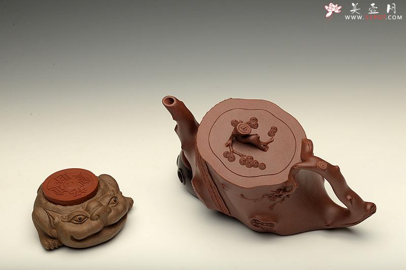 紫砂壶图片：似龟似桩 气韵流畅 精品 全手长寿梅桩 吉祥如意 - 美壶网