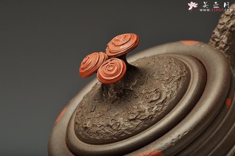 紫砂壶图片：花货实力派孙伟强作品  徐汉棠风格之福寿延年 灵芝壶 雄厚蕴古 - 美壶网