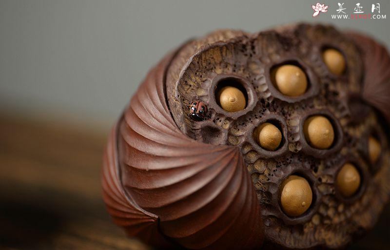 紫砂壶图片:美壶特惠 文雅茶宠 全手工精制 经典莲蓬 - 美壶网