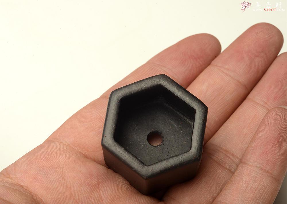 紫砂壶图片：张秋平全手微型花盆 漂亮好玩 - 美壶网