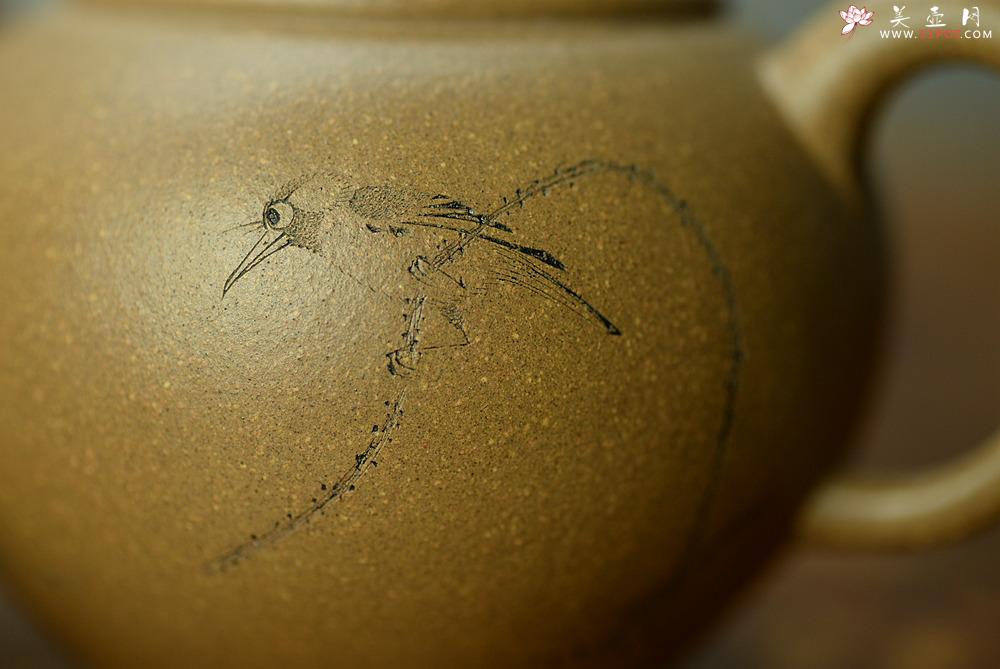 紫砂壶图片：陈进作品  圆润饱满 实用有趣 全手圆珠 - 美壶网