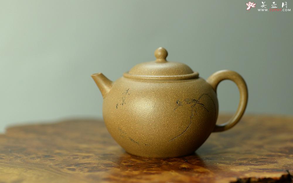 紫砂壶图片：陈进作品  圆润饱满 实用有趣 全手圆珠 - 美壶网