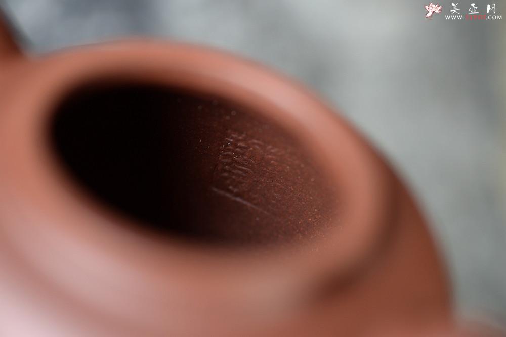 紫砂壶图片：道洪风格之全手【敦】 潜力股蒋柯作品 珠圆玉润  - 美壶网