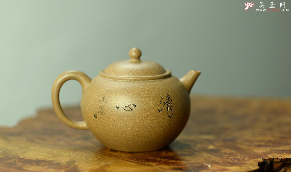 紫砂壶图片：陈进作品  圆润饱满 实用有趣 全手圆珠 - 美壶网