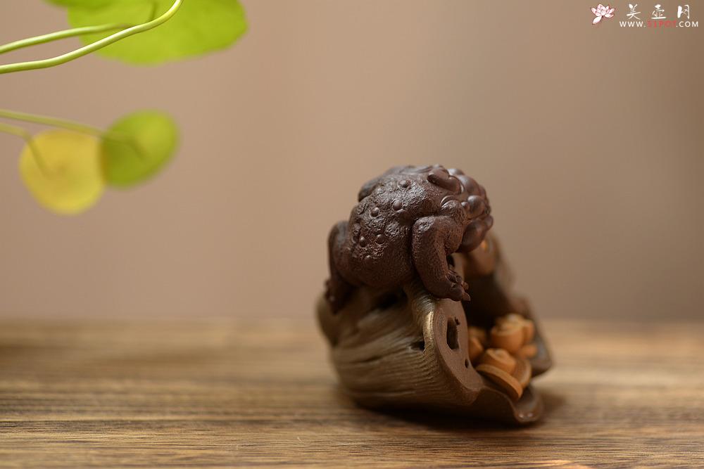 紫砂壶图片：莲蓬金蟾 做工精细 和气招财茶宠 - 美壶网