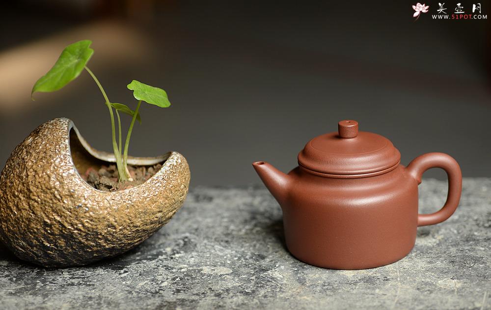 紫砂壶图片：美壶特惠 俞欣荣新作 挺拔俊秀 优质底槽青之高德中 实用精品 - 美壶网