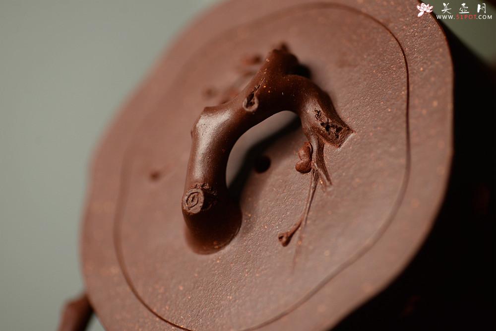 紫砂壶图片：单志萍最新力作 雄厚之风 优雅之作 精品全手红梅争艳 - 美壶网