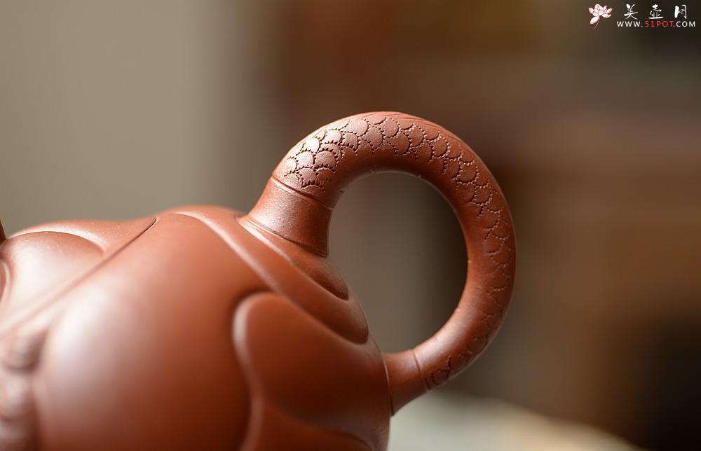 紫砂壶图片：器型饱满  精品扁鱼化龙  做工精细 - 美壶网