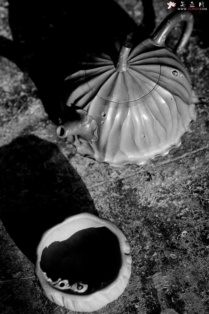 紫砂壶图片：文气十足 意境深远 秋日残荷 孙伟强张新亚合作 - 美壶网