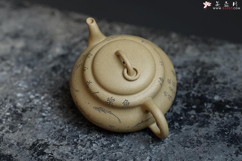 紫砂壶图片：鱼乐人亦乐,泉清心共清 全手葫芦 - 美壶网