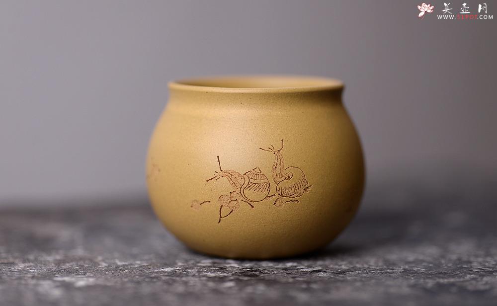 紫砂壶图片：曲峰闻香杯 原矿本山绿泥 刻绘蜗牛 - 美壶网