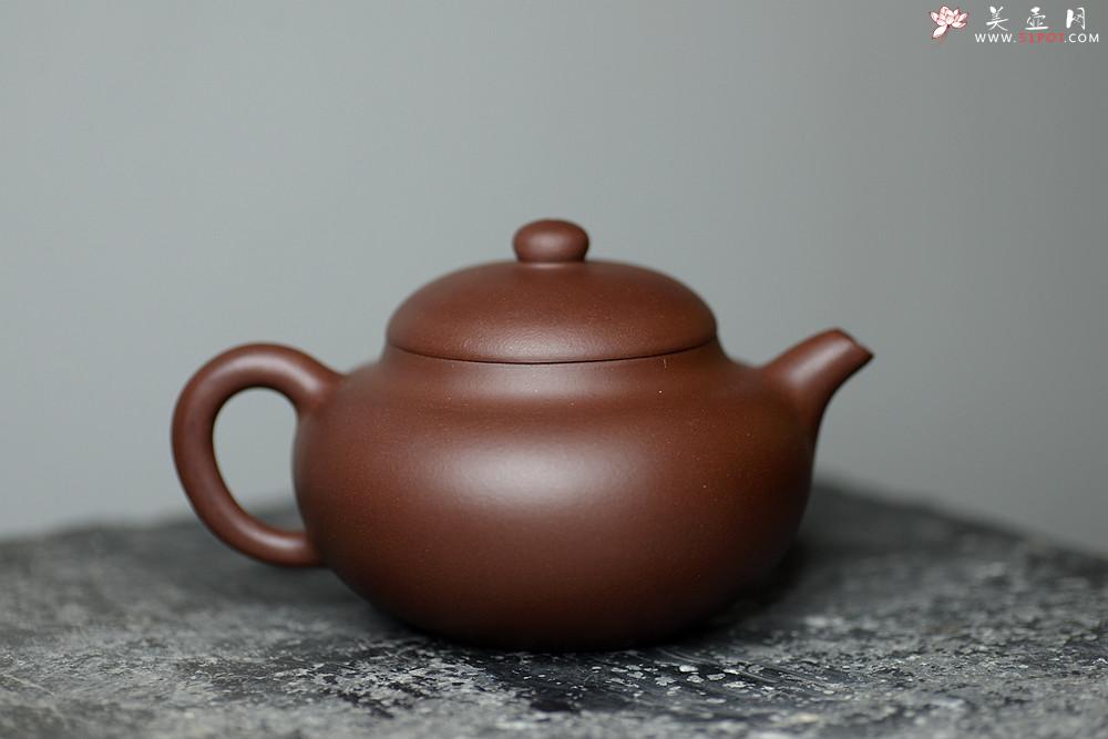 紫砂壶图片：张智耀新作 饱满敦厚 传统实用 全手圆乐 - 美壶网