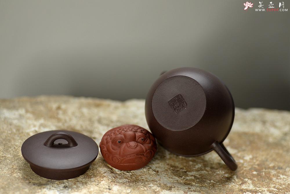 紫砂壶图片：美壶特惠 茶人最爱 实用巨轮小壶 仿清巨轮~ - 美壶网