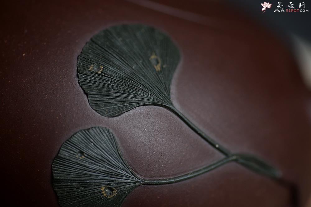 紫砂壶图片：崔巍健最新原创作品 银杏壶 原矿紫泥  - 美壶网