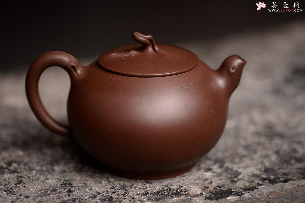 紫砂壶图片：高雪琴全手近作 构思精妙 别具清趣 寒枝 - 美壶网