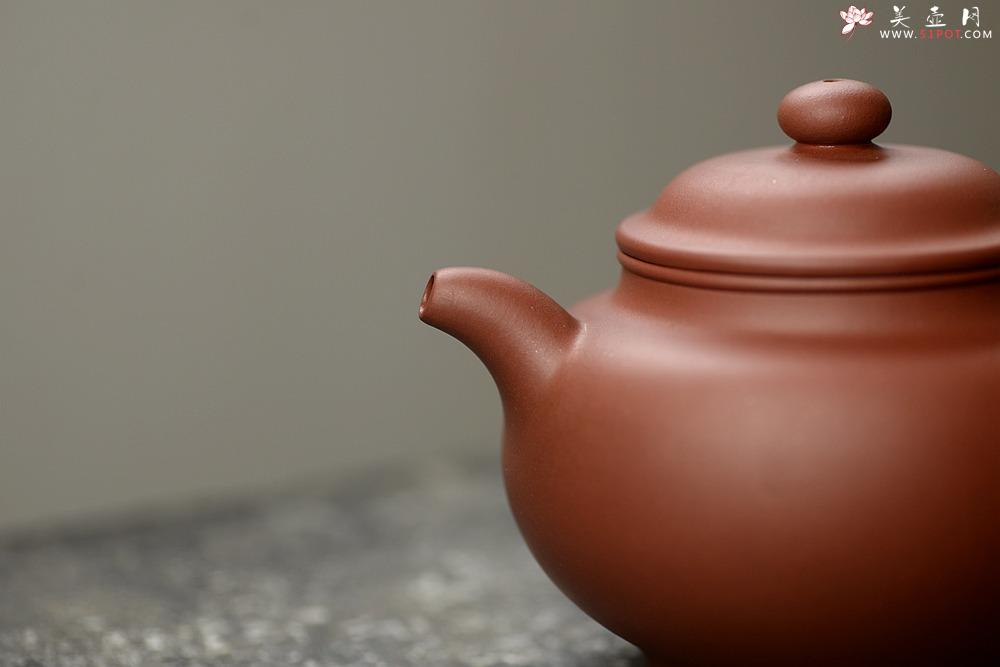 紫砂壶图片：施梦佳全手新作 厚重大气 全手大掇只 - 美壶网