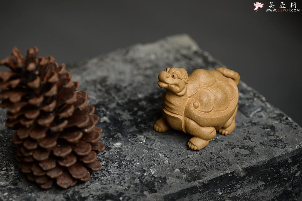 紫砂壶图片：优质段泥 做工精致 龙龟茶宠 - 美壶网