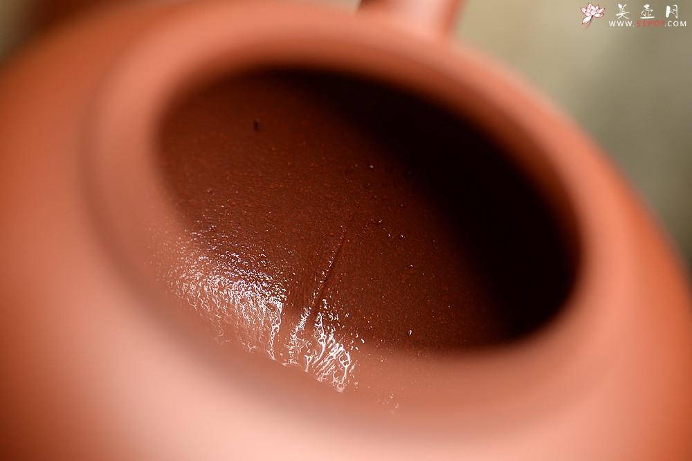 紫砂壶图片：詹黎明全手近作 中书协王俊平装饰 经典光素器考验功力 圆珠 - 美壶网