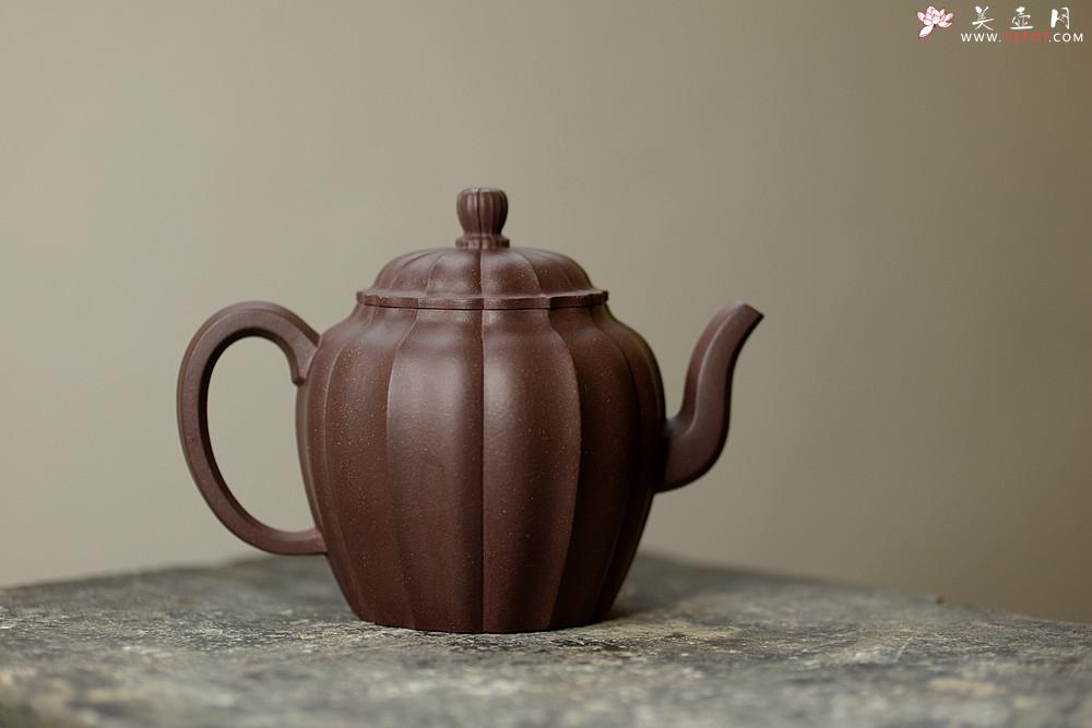 紫砂壶图片：筋囊大品 明针优秀 性价比突出~ 水仙 线条优美 - 美壶网