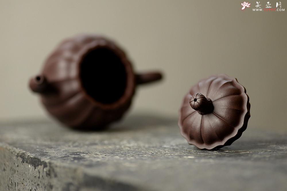 紫砂壶图片：筋囊大品 明针优秀 性价比突出~ 水仙 线条优美 - 美壶网