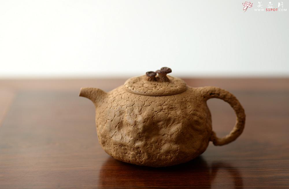 紫砂壶图片：全手薄胎灵芝瓜纽龚春 古朴之味 自然生动 - 美壶网
