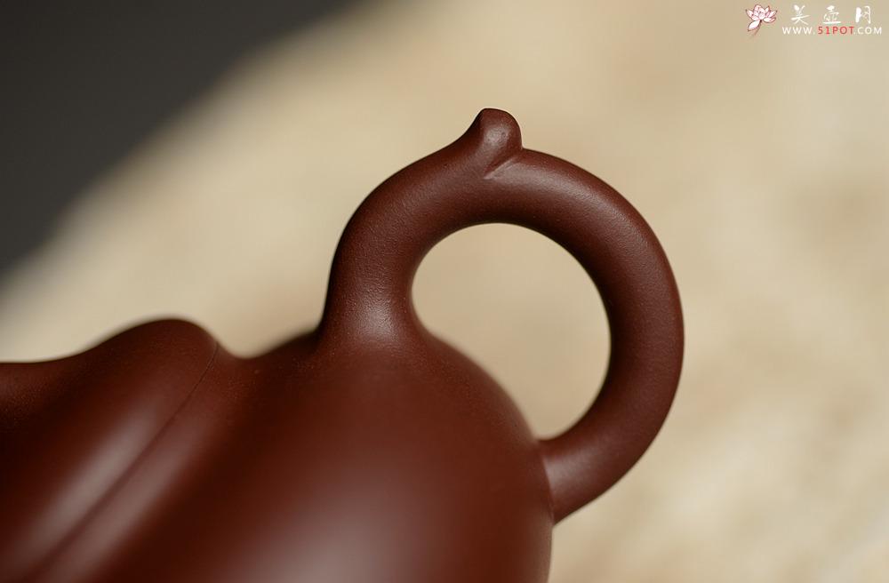 紫砂壶图片：美壶特惠 经典实用 和悦 优质枣红泥 易泡养 - 美壶网