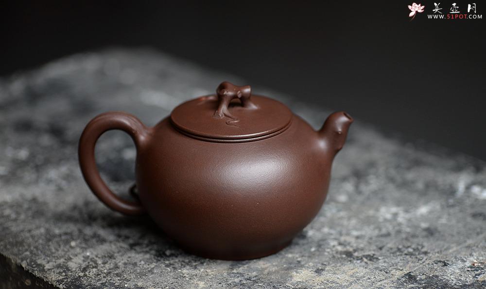 紫砂壶图片：高雪琴全手花趣 线条流畅 构思精妙 新意花器 - 美壶网